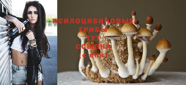 круглые Бородино
