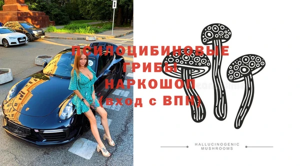 молекула духа Бронницы