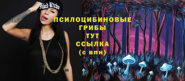 круглые Бородино