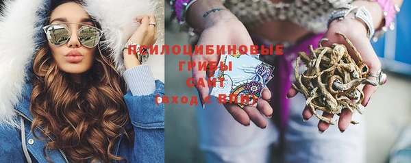 молекула духа Бронницы