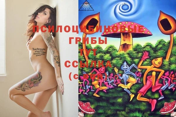 молекула духа Бронницы
