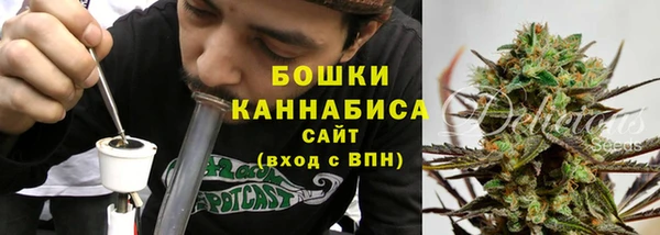 молекула духа Бронницы